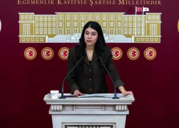 Berîtan Guneş Altin: Şima do vîndîyê erdlerzî bigêrê yan ney?