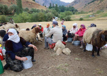 Bi çanda sewalkariyê li dijî krîza aborî li ber xwe didin: Em gundên xwe neterikînin