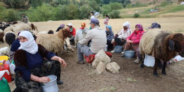 Bi çanda sewalkariyê li dijî krîza aborî li ber xwe didin: Em gundên xwe neterikînin