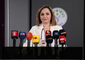 Ayşegul Dogan: Gelo destekî ku em nabînin di nava pêvajoyê de heye û asteng dike?