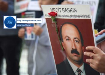 Eren Baskin: Dewlet ji kujerên me hez dike, lewma nadarizîne
