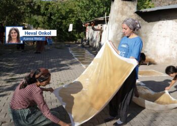 Amed de wextê mahsereyî: Cinîyan ke dest da yewbînan eşkenê her çî bîkê