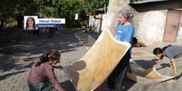 Amed de wextê mahsereyî: Cinîyan ke dest da yewbînan eşkenê her çî bîkê