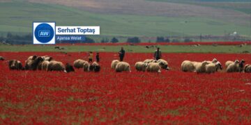 Li gorî biyofîliyê çavkaniya hezkirin û kêfxweşiya mirovan çi ye?