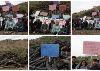 Seba talankerdişê xozaya Gorseyî çalakî: ‘Ma nêwazenê ke tayê kesî dewa ma de xozaya ma talan bikerê’