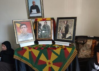 Ji bo endamê Tevgera Azadiyê Delîl Nergîs şîn hat danîn