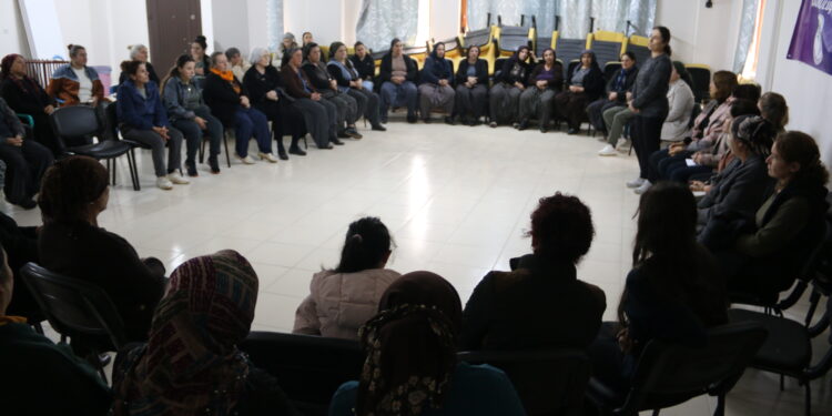 Meclisa Jinan a DEM Partiyê li Bûlamê bi jinan re civiya