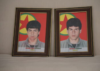 Pey azadîye de di birayî: Têkoşîn û vîrardişê înan zereyê xo de pawito