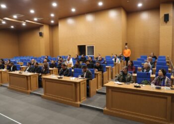 Li Wanê panela Parastina Gola Wanê û qadên çandî hat lidarxistin