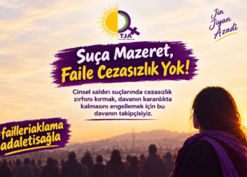Jin dê ji bo doza destdirêjiyê ya li Sêweregê xebata tagê pêk bînin